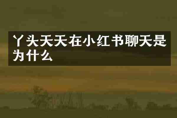 丫头天天在小红书聊天是为什么