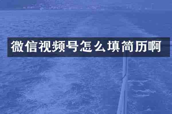 微信视频号怎么填简历啊
