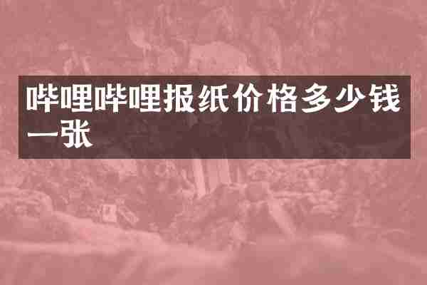 哔哩哔哩报纸价格多少钱一张