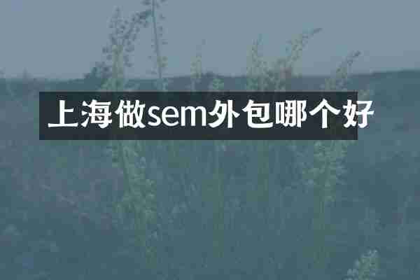 上海做sem外包哪个好