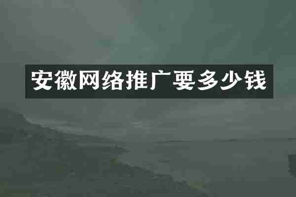 安徽网络推广要多少钱