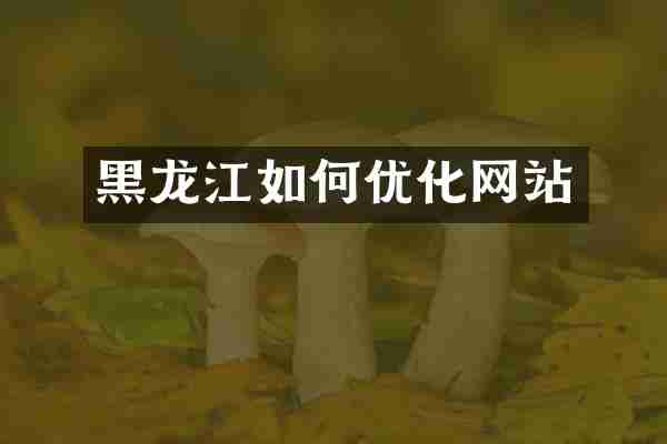 黑龙江如何优化网站