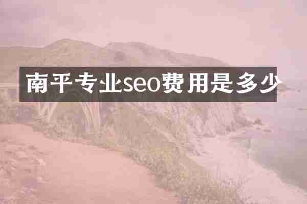 南平专业seo费用是多少