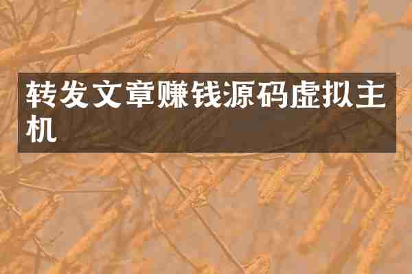 转发文章赚钱源码虚拟主机