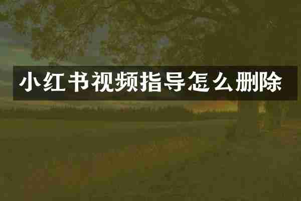 小红书视频指导怎么删除