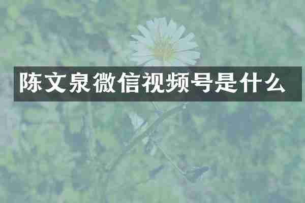 陈文泉微信视频号是什么