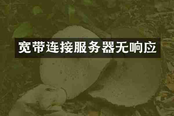宽带连接服务器无响应