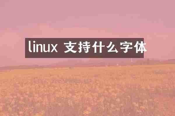 linux 支持什么字体