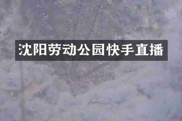 沈阳劳动公园快手直播