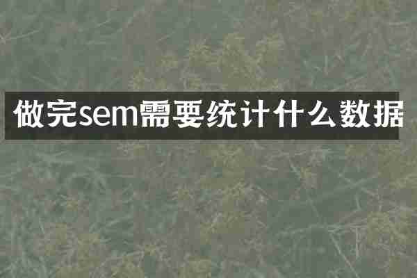 做完sem需要统计什么数据