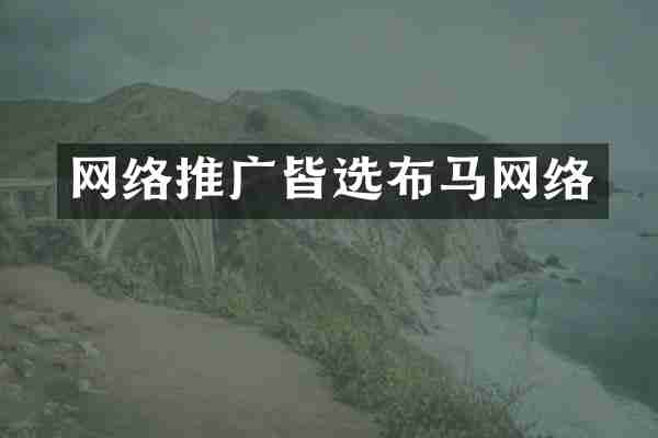 网络推广皆选布马网络