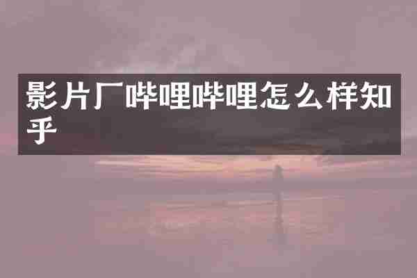 影片厂哔哩哔哩怎么样知乎