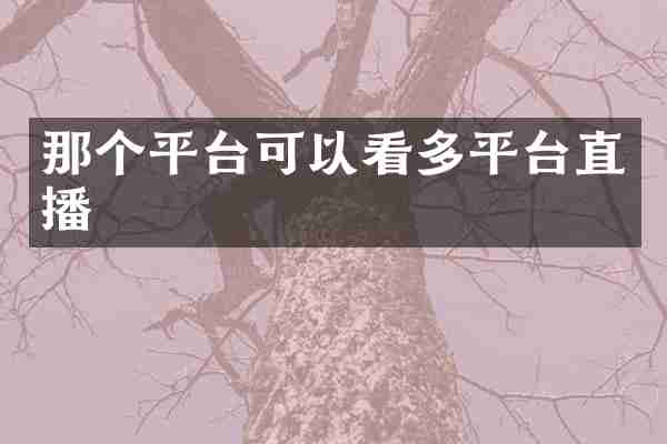 那个平台可以看多平台直播