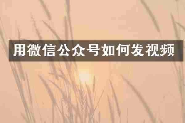 用微信公众号如何发视频