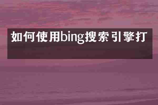 如何使用bing搜索引擎打开