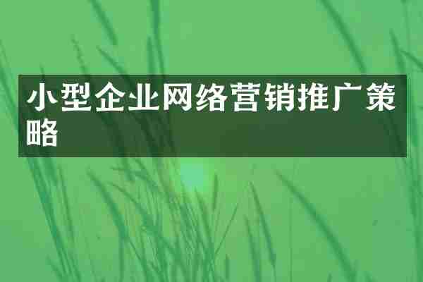 小型企业网络营销推广策略