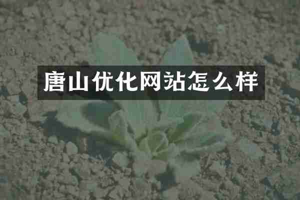 唐山优化网站怎么样