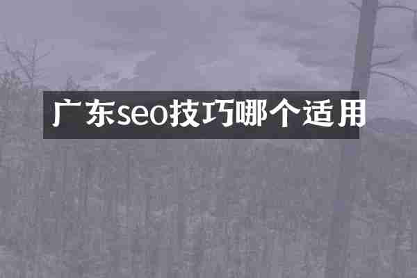 广东seo技巧哪个适用