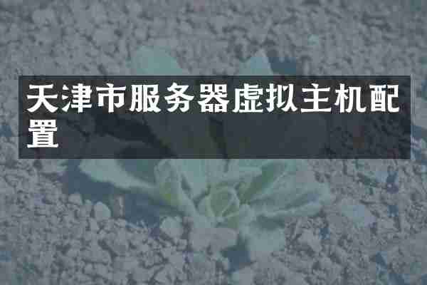 天津市服务器虚拟主机配置