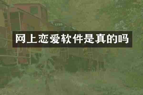 网上恋爱软件是真的吗
