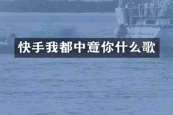 快手我都中意你什么歌