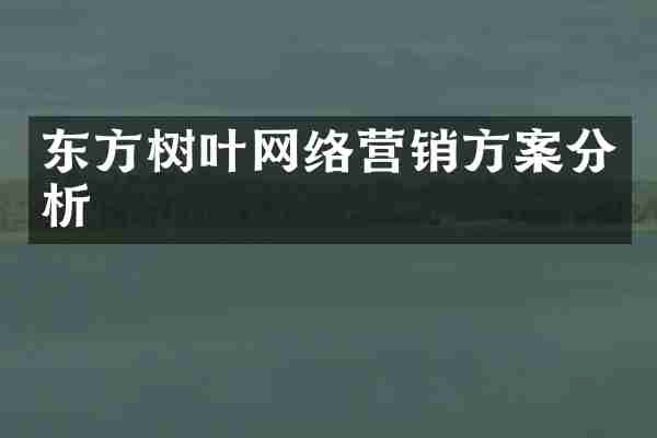 东方树叶网络营销方案分析