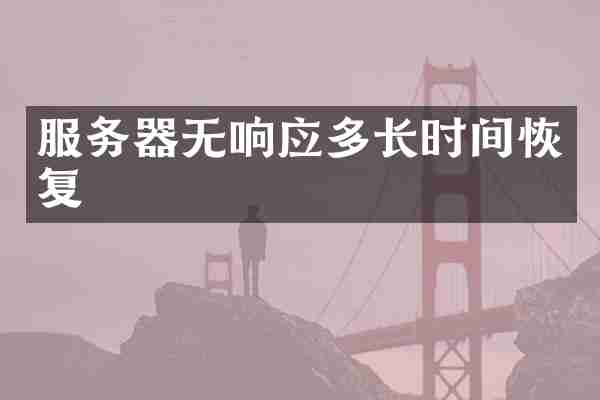 服务器无响应多长时间恢复