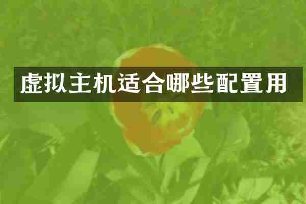 虚拟主机适合哪些配置用