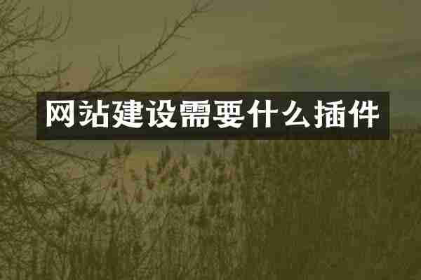 网站建设需要什么插件