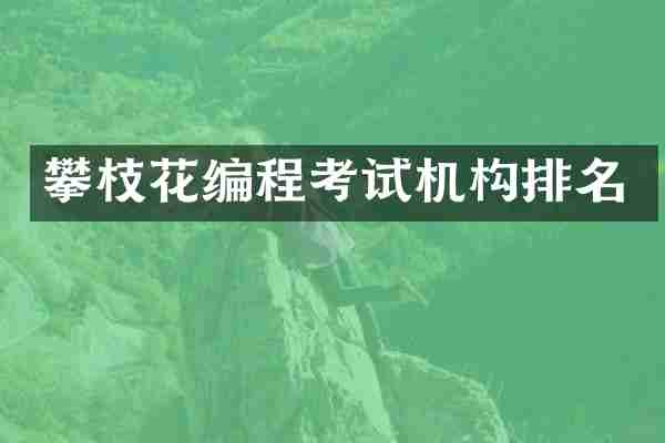 攀枝花编程考试机构排名