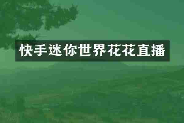 快手迷你世界花花直播
