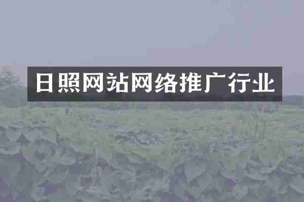 日照网站网络推广行业