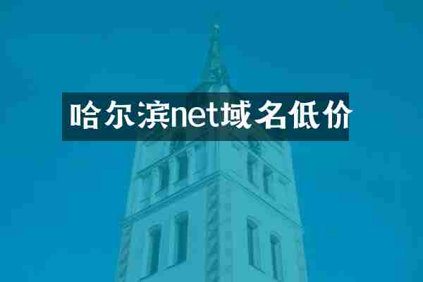 哈尔滨net域名低价