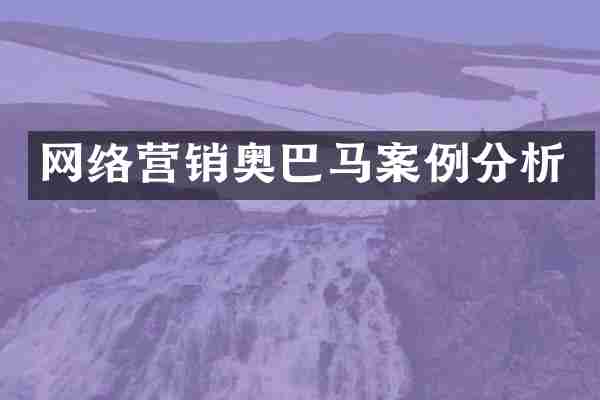 网络营销奥巴马案例分析