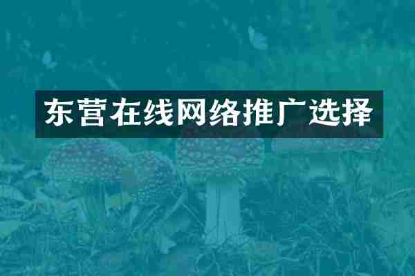 东营在线网络推广选择
