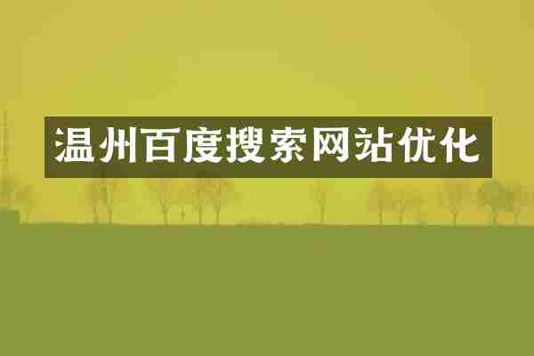温州百度搜索网站优化