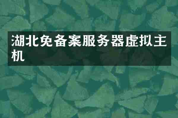 湖北免备案服务器虚拟主机