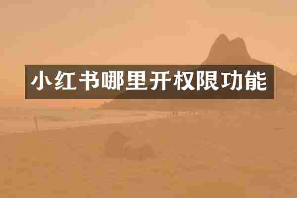 小红书哪里开权限功能