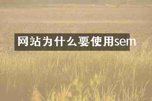 网站为什么要使用sem