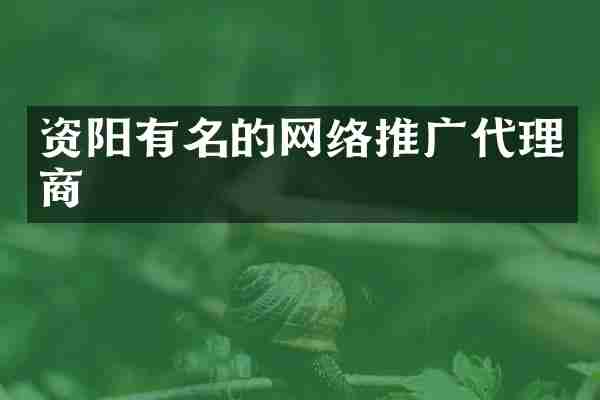资阳有名的网络推广代理商