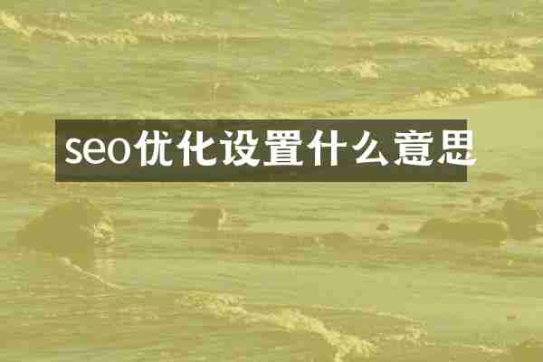 seo优化设置什么意思