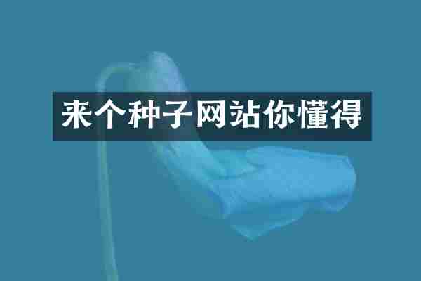 来个种子网站你懂得