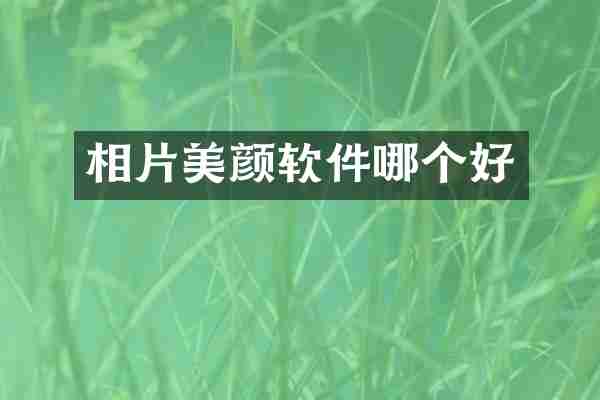 相片美颜软件哪个好