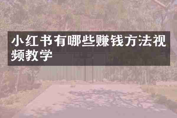 小红书有哪些赚钱方法视频教学