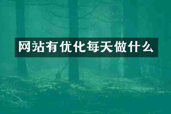 网站有优化每天做什么