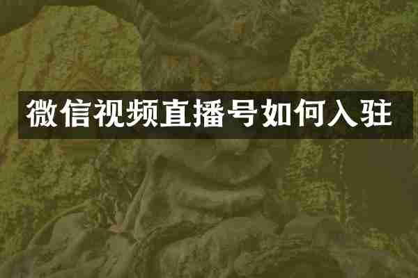 微信视频直播号如何入驻