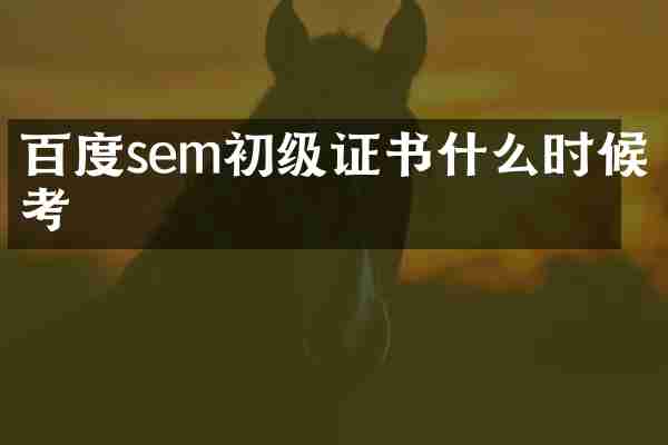 百度sem初级证书什么时候考