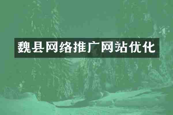 魏县网络推广网站优化