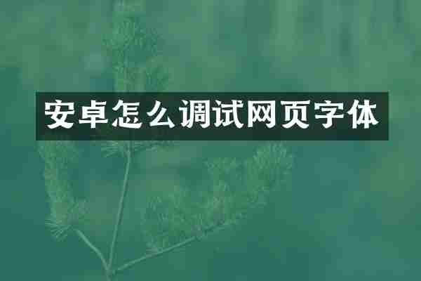安卓怎么调试网页字体