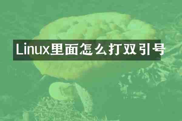 Linux里面怎么打双引号